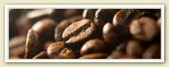 Roasted coffee beans